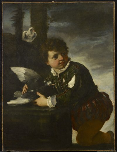 Boy with a Dove by Pier Francesco Mola